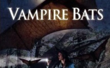Bats l'Invasion des Chauves-Souris | Vampire Bats | 2005