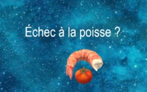 Echec à la poisse ? | Robert Yessouroun | 2022