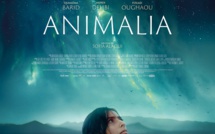 Animalia | 2023
