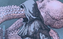 Le Cri du lézard | Jean-François Thomas | 2024 Le Cri du lézard | Jean-François Thomas | 2024