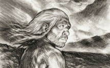 Le brouillard | Michel Maillot | 2024