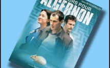 Des Fleurs pour Algernon | 2006