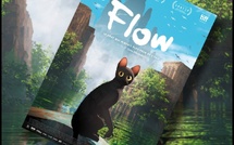 Flow | 2024 Flow | 2024