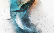 La Millième Nuit | Thousandth Night | Alastair Reynolds | 2005 La Millième Nuit | Thousandth Night | Alastair Reynolds | 2005