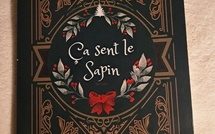 📚 Ça sent le sapin | Mello von Mobius | 2023