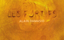 Les Furtifs (Alain Damasio)