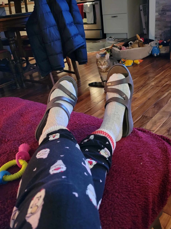 ©Thierry Bernard (épouse) ©Thierry Bernard (épouse)