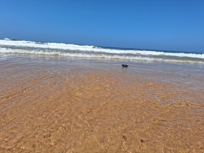 ©2025 Bruno Blanzat ©2025 Bruno Blanzat