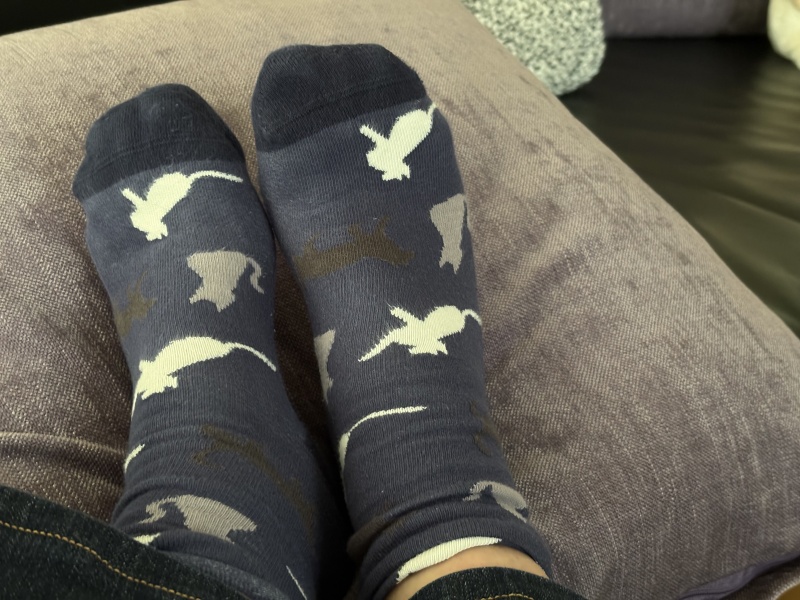 ©Koyolite Tseila ©Koyolite Tseila